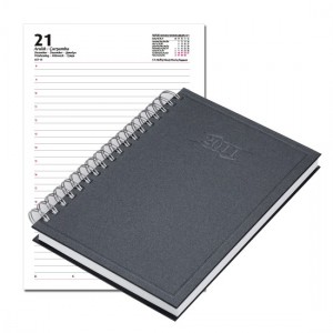 bayındır spiralli ajanda  g&uuml;nl&uuml;k 17*24