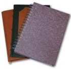 gıpta spralli ajanda 17*24