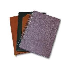 gıpta spralli ajanda 17*24